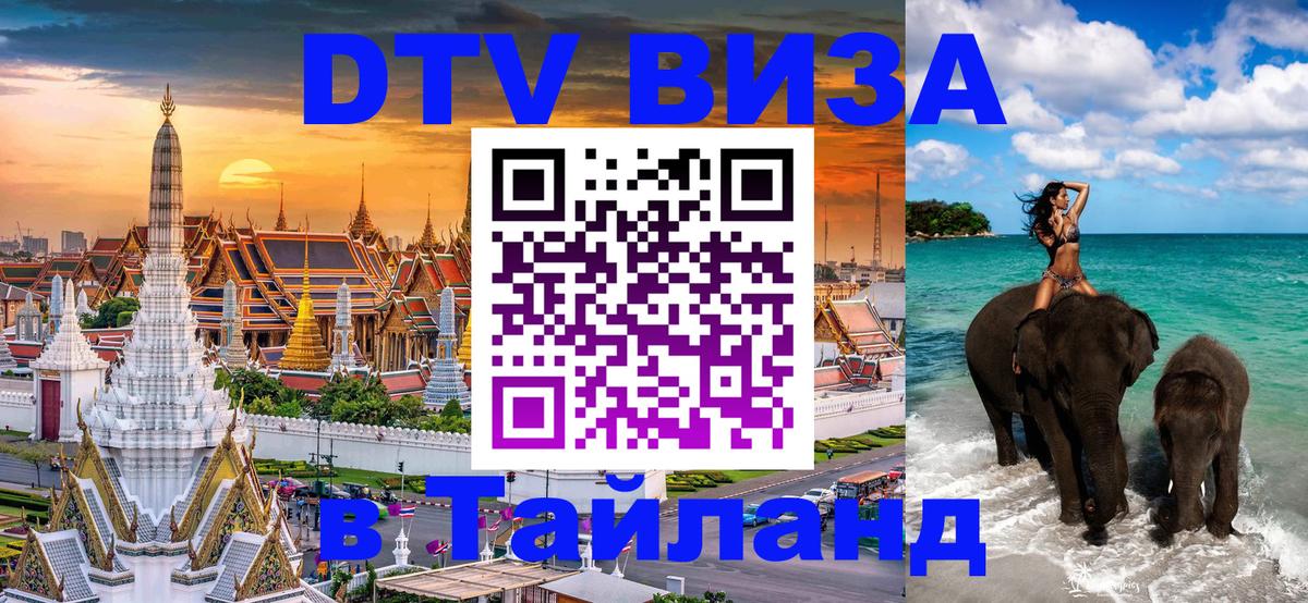 DTV (ДТВ) visa Таиланд Амстердам 
