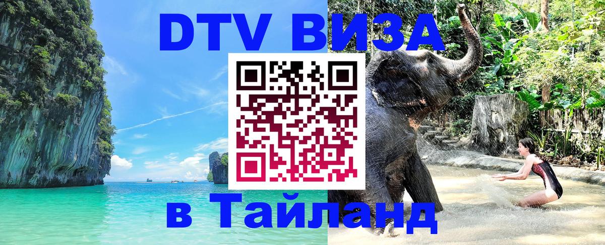 Сколько стоит DTV виза — актуальные цены, оформление даже без документов - Амстердам  05.10.2025 